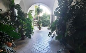 La Casa Delle Camelie